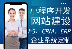软件开发·APP开发，AI 人工智能，小程序，软件开发，商城